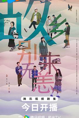 辽宁seo排名优化平台